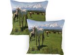 Abakuhaus Parchi Nazionali Federa Per Cuscino Confezione Da 2, Design Cavallerizzo Snowy Cime Montuose Idilliache Arabian Horse Stampe Artistiche, Federa Per Cuscino Decorativa Stampata, 80X80 Cm, Multicolore