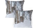 Abakuhaus Federa Per Cuscino Con Animali, Confezione Da 2, Lince Europea Snowy Cold Forest Norvegia, Animale Nordico, Federa Decorativa Stampata, 80X80 Cm, Marrone Chiaro E Bianco