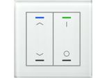 MDT BE-GTL2TW.C1 Glastaster II Light 2fach RGB-W Temp