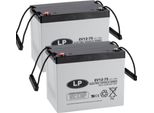 2X Batteria Al Piombo Agm 12V 75Ah - VRLA-EV12-75 A Prova Di Ciclo Compatibile Con 60Ah 75Ah 77Ah 80Ah MP75-12C REC80-12I 12Lc-75Ah