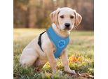 Pettorina Riflettente Per Cani Petartist - Blu, Taglia L 64Cm