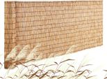 Vevor Recinzione In Giunco Naturale, 1,0 X 3 M, Tenda Per La Privacy In Giunco, Rotolo Di Recinzione In Giunco Per Il Balcone Nel Cortile, Recinzione Decorativa Per Il Muro Divisorio Del Giardino, Tenda Con Pannello Per La Privacy