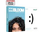 Mm Bloom Carta Per Copie Smart 9948A80S A4 80G 500 Fogli