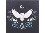 Something Different - Tela Luminosa "Night Owl"" SD6433 (Taglia Unica) (Multicolore)"