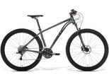 Amulet 29 Rival 2.0 SH, anthracite/black, L