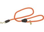 Digby & Fox - Guinzaglio Per Cani, Ritorto ER2109 (Taglia Unica) (Arancione)