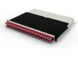 Patchbox .One 8RU Utp Rot - Kabel - Netzwerk (PONEX8UTPRD)