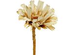 Rosetta Di Repens Sbiancata 8-9Cm, Decorazione Con Fiori Secchi, Cespuglio Di Zucchero Esotico, Elegante Composizione Per Tombe - 20 Pezzi