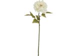 Hill Interiors - Fiore Artificiale HI4879 (52 Cm) (Bianco)