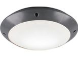 Camaro Antracite Rl Lampada Da Esterno Per Facciata Plafond R60501042