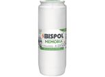 Inserto Per Candela A Olio Bispol WO4 84H 1 Pz.