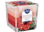 Candela In Vetro Profumato Bispol Aura 32H Hibiskus - Bianco Dolce