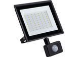 Proiettore Led Con Sensore 50W IP44 31400 Neutro Kanlux