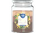 Candela Profumata Grande In Vaso Bispol Aura 100H Wild Vanilla