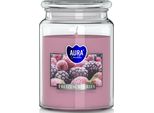 Candela Profumata Grande In Vaso Bispol Aura 100H Bacche Glassate