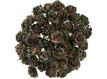 Rosen Aperto 25 Mm 25 Pezzi Fiori Di Carta Di Gelso Per Scrapbooking, Marrone Nocciola