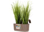 Progarden | Fioriera Da Balcone - 21X29X19 Cm - Marrone - Resistente Alle Intemperie - Moderna - Pratica