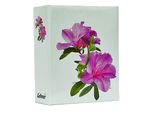 Vmc Album Per 304 Foto 10X15 Cm. Senza Descrizione Fiore Bianco Rosa