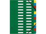 Organizer Exacompta, Din A4, Cartone, 24 Tasche, Verde