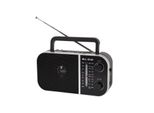 Blow Portable Analog Radio Am/Fm RA6