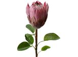 Fiore Artificiale Clayre & Eef 65 Cm In Plastica Viola