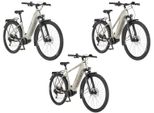FISCHER E-Bike ATB »Terra 4.0i«, 29 Zoll