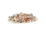 Relaxdays Decorazione Conchiglia Con Lumache Di Mare 2Kg