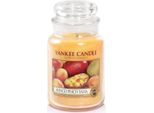 Yankee Candle Vaso Di Cera Profumata Grande Mango Peach Salsa 1114681E