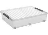 Sunware H6163199 Contenitore 60,0 L Trasparente 50,0 X 80,0 X 20,0 Cm