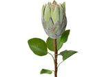 Fiore Artificiale Clayre & Eef 65 Cm Plastica Verde