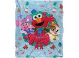 Sesame Street - Coperta "Amici Pelosi"", Ghirlanda TV18776 (Taglia Unica) (Colorato)"