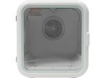 Asciugacapelli Per Animali Domestici, Potenza 800W, Temperatura Regolabile, Funzionamento Silenzioso, Bianco