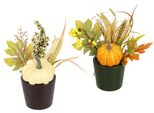 Kunstblume I.Ge.A. "Gesteck KüRbis/Beeren", Beige (Creme, Orange), B:12Cm H:18Cm L:12Cm, Polyester, Kunstpflanzen, 2Er Set Im Topf Herbstlaub Dekoblume Herbst-Deko Herbstblume Gesteck
