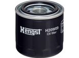 Filtro Hengst Filtro Olio H20W09