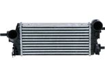 Intercooler 343 Mm - 157 Mm Nrf Adatto Ad Es. Per Ford C-MAX