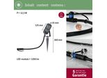Paulmann Plug & Shine Faretto Da Giardino A Led Faretto Singolo Radon