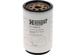 Hengst Filter H7118WK10 Filtro Carburante