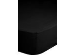 Lenzuolo Teso Good Morning Renforcé 90 X 220 Cm Nero