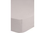 Lenzuolo Teso Good Morning 90 X 220 Cm Beige Chiaro