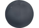 Leitz Ergo Cosy Active - Sedile Imbottito - Blu - Grigio - 33 Cm - 110 Kg - 341 Mm - 369 Mm (5279-00-89)