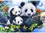 Bluebird Panda Family Puzzle 1000 Pezzi