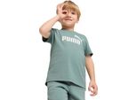 Puma Ess No. 1 Logo Tee Ps 68493030 Bambini
