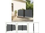 The Living Store Tenda Laterale Estensibile Antracite 140X1000 Cm