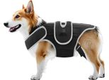Supporto Per Cani - Supporto Per La Schiena - Imbracatura Di Sostegno Spinale Per Ivdd - Taglia M