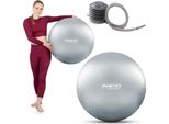 Neo-Sport CvičEbní Míč 65 Cm NS-951 StříBrný