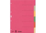 Leitz 4358-00-00 4358 Register - Karton, Blanko, A4, 6 Blatt, Farbig