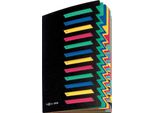 Pagna 24141-04 Ordnungsmappe Deskorganizer 1-12, 12 FäCher, Schwarz