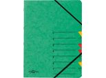 Pagna® 24061-03 Organizer Easy - 7 Scomparti, A4, Cartoncino, 265 G/M², Verde