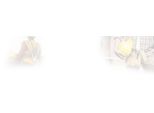 Cricchetto Fortum (4700113) Cricchetto Da Meccanico, 1/2", L 253Mm, 72 Denti, Crv/S2"