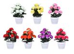 Nohel Garden Crisantemo Composizione Floreale Autunnale In Vaso 39Cm
